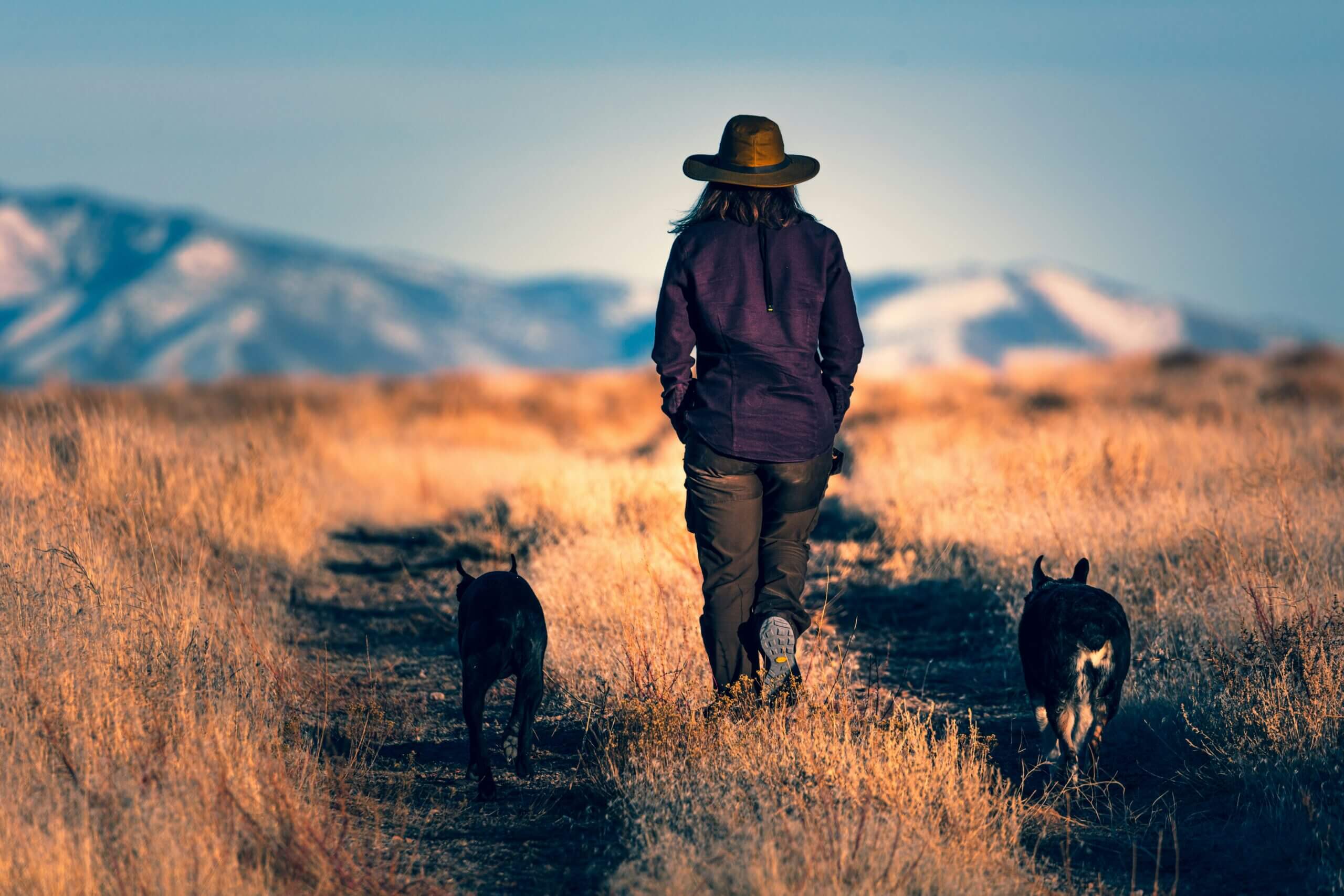 Walk and Talk Therapy Canterbury – Building Emotional Strength Outdoors Woman walking through a field in Canterbury countryside – symbolising emotional resilience and walk and talk therapy support