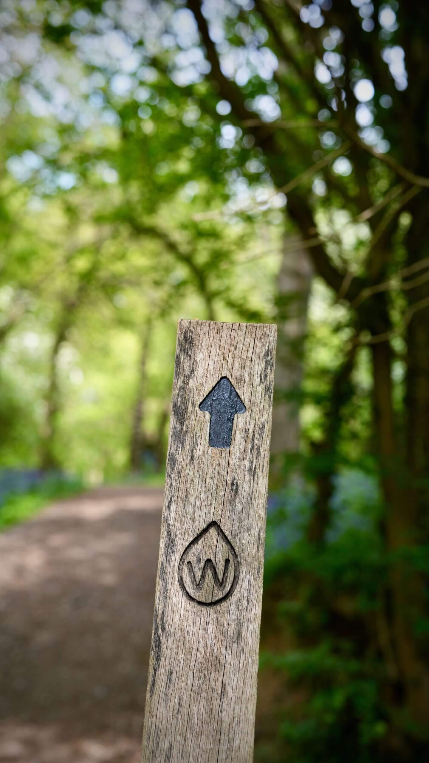 Walk and Talk Therapy with Becky Stone in Canterbury Therapist Becky Stone walking outdoors in Canterbury, offering Walk and Talk therapy for anxious teens