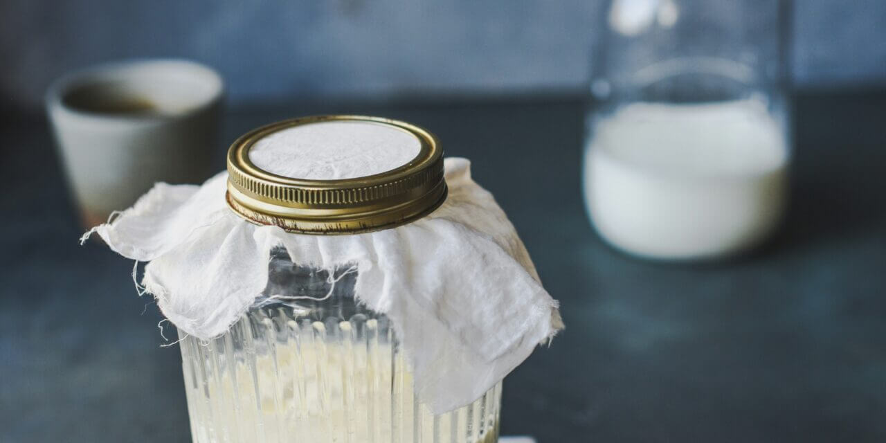 Why Kefir Yoghurt Can Be a Game-Changer for People with ADHD