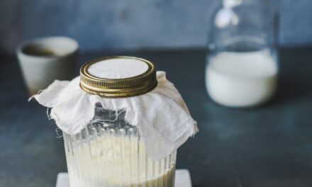 Why Kefir Yoghurt Can Be a Game-Changer for People with ADHD