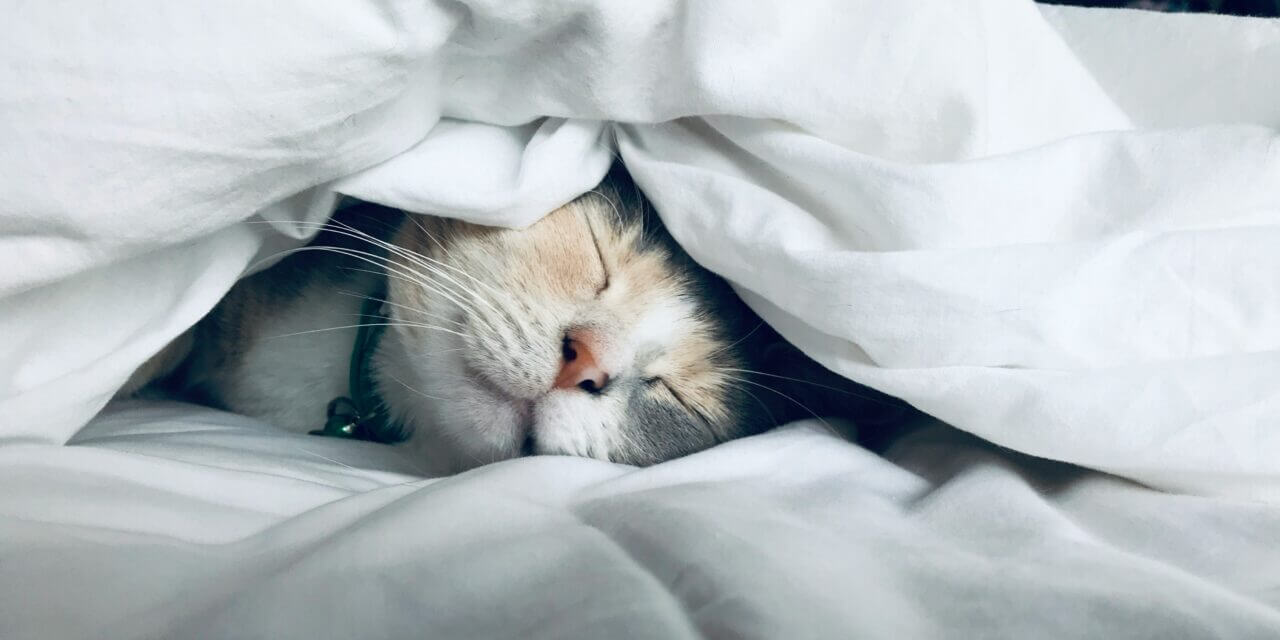 ADHD and Sleep: Why You Can’t Switch Off (And What Actually Helps)