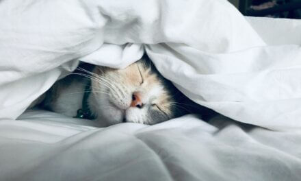 ADHD and Sleep: Why You Can’t Switch Off (And What Actually Helps)