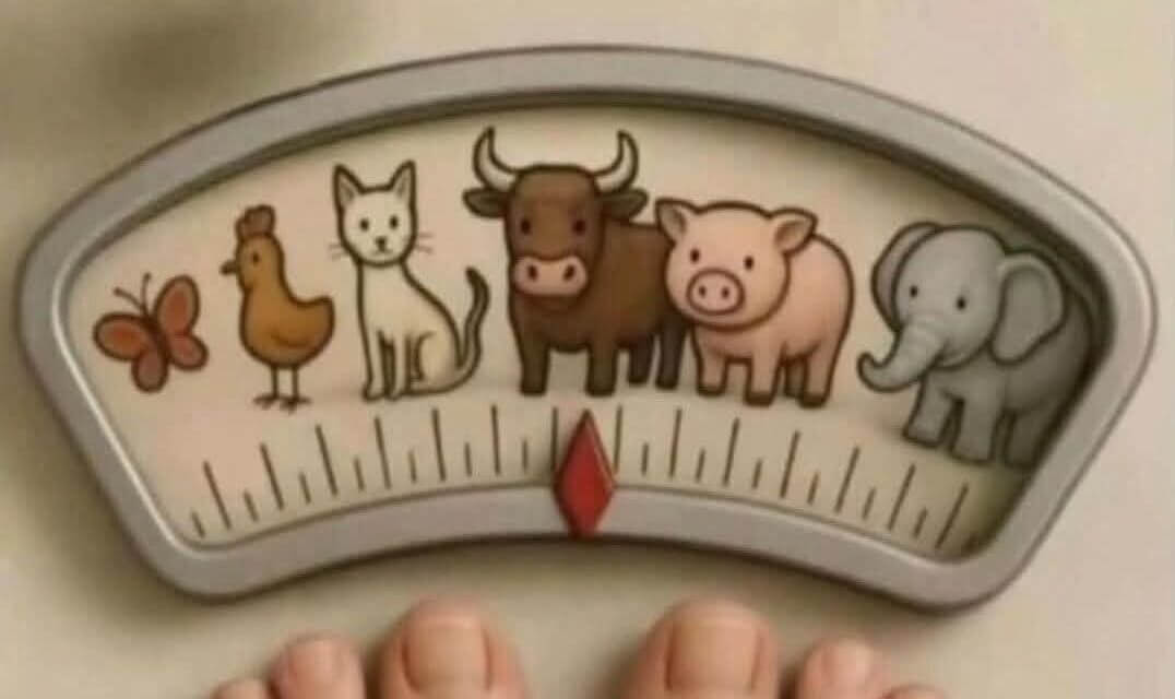 Why “Funny” Scales Are Anything But Funny: The Dangerous Impact of Weight-Shaming Messages