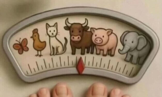 Why “Funny” Scales Are Anything But Funny: The Dangerous Impact of Weight-Shaming Messages