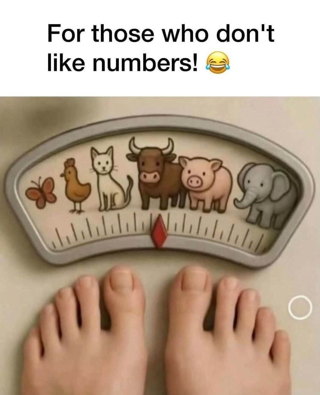 “Bathroom scale with animals instead of numbers – blog on Mounjaro weight loss culture and eating disorder therapy in Canterbury”