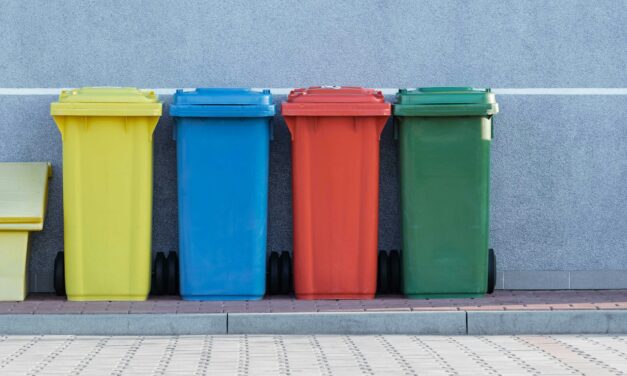 Trust Your Gut: The Day I Climbed Into a Wheelie Bin | Therapy Canterbury